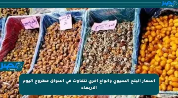 أسعار البلح السيوى وأنواع أخرى تتفاوت في أسواق مطروح اليوم الأربعاء